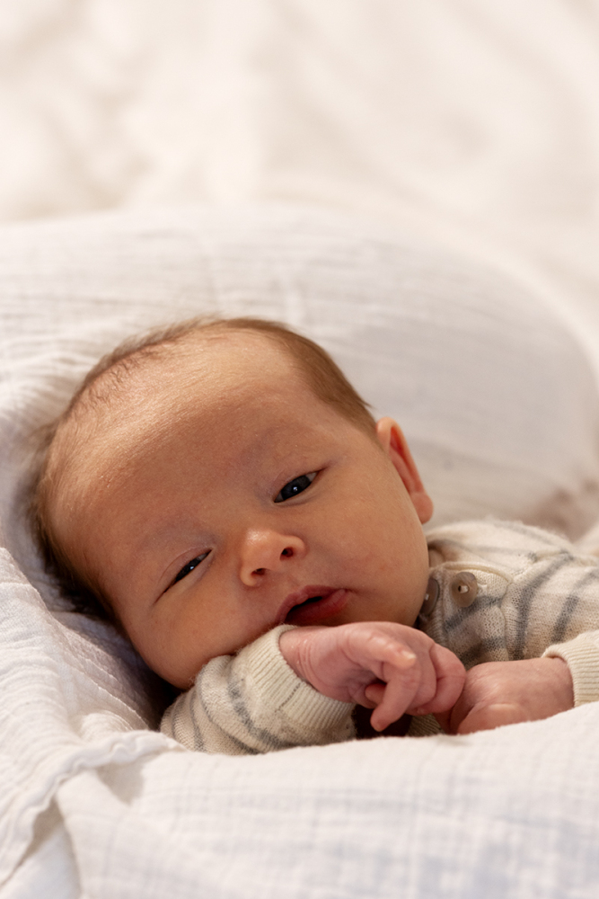 newbornfotografie