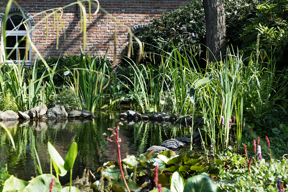 tuinarchitectuur
