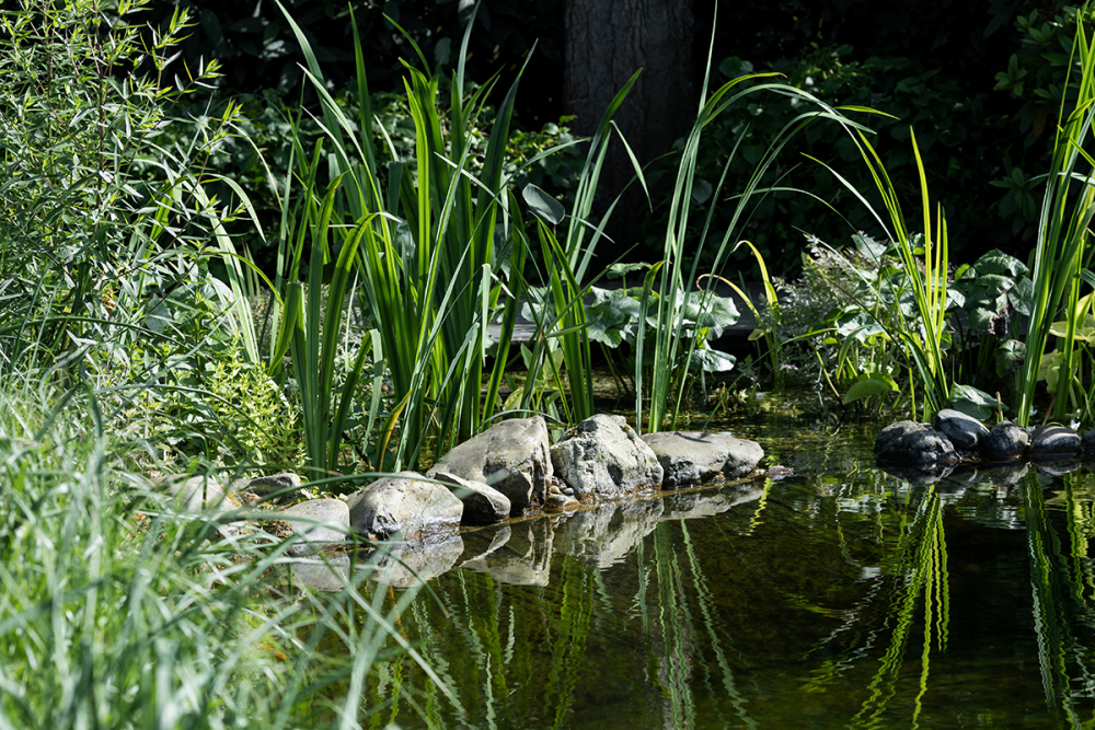 tuinarchitectuur